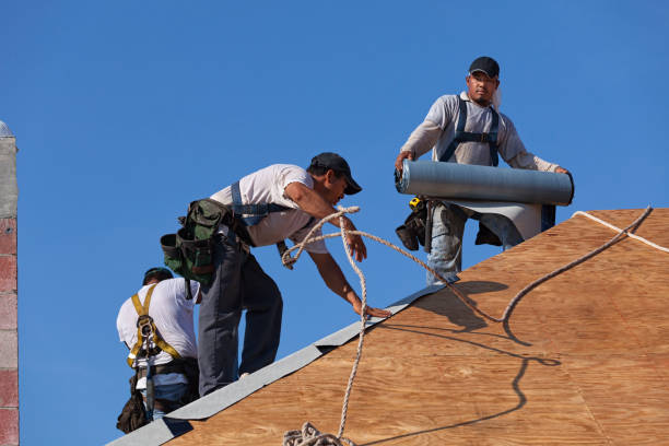Best Storm Damage Roof Repair  in Franklin, CA